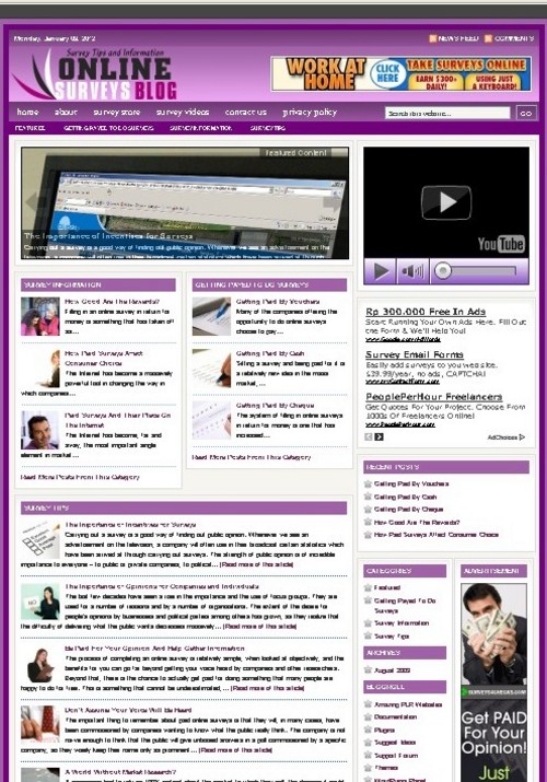 Product picture Online Survey Plr Niche Blog (Wp 3.x.x)