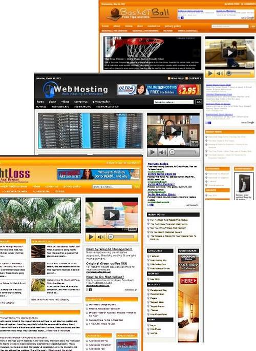 Product picture 3 Niche Blog (Basket Ball,Weightloss,Webhosting)