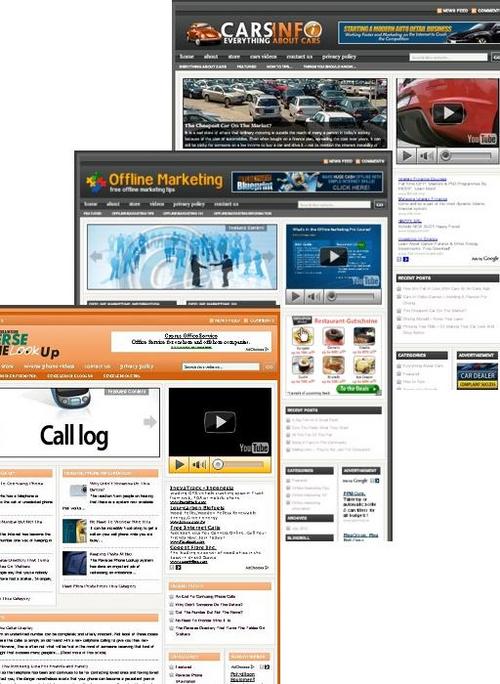 Product picture 3 Niche Blog (Cars,Reverse Phone,Offline marketing)