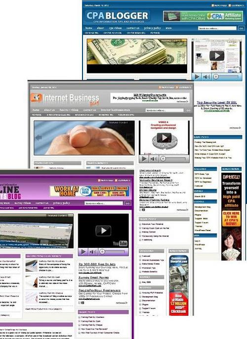 Product picture 3 Niche Blog (internet business,cpa,online survey)